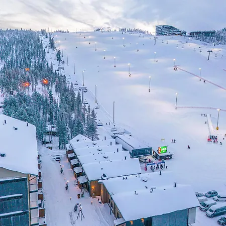 Levillas Levin Cranberry C24 Levi