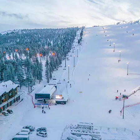 Levillas Levin Cranberry C24 Levi