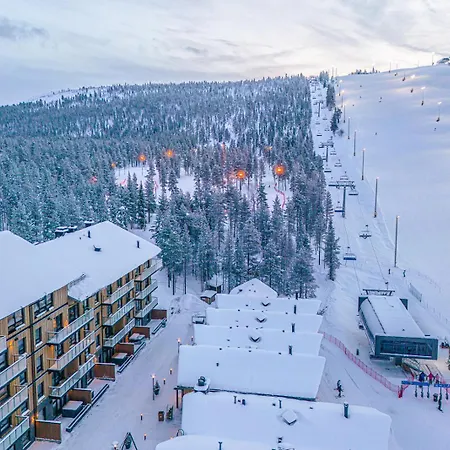 Levillas Levin Cranberry C24 Levi