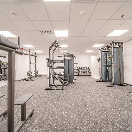 Levillas Levin Cranberry C24