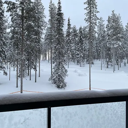 Levillas Levin Cranberry C24 * Levi