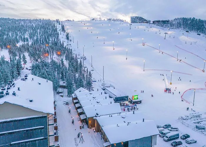 Levillas Levin Cranberry C24 Levi