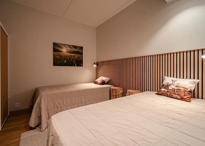 Levillas Levin Cranberry C24 * Levi